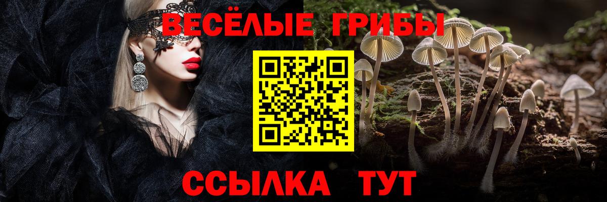Псилоцибиновые грибы GOLDEN TEACHER  Вход с VPN  Азнакаево 